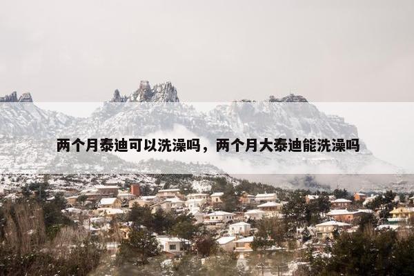两个月泰迪可以洗澡吗，两个月大泰迪能洗澡吗