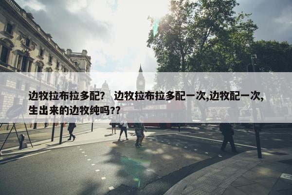 边牧拉布拉多配？ 边牧拉布拉多配一次,边牧配一次,生出来的边牧纯吗?？