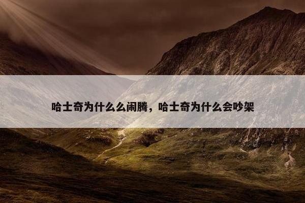 哈士奇为什么么闹腾，哈士奇为什么会吵架