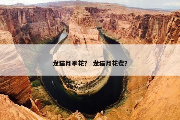 龙猫月季花？ 龙猫月花费？