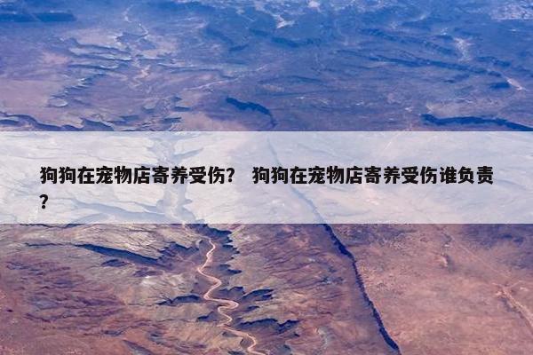 狗狗在宠物店寄养受伤？ 狗狗在宠物店寄养受伤谁负责？