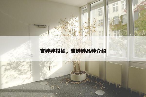 吉娃娃柑橘，吉娃娃品种介绍