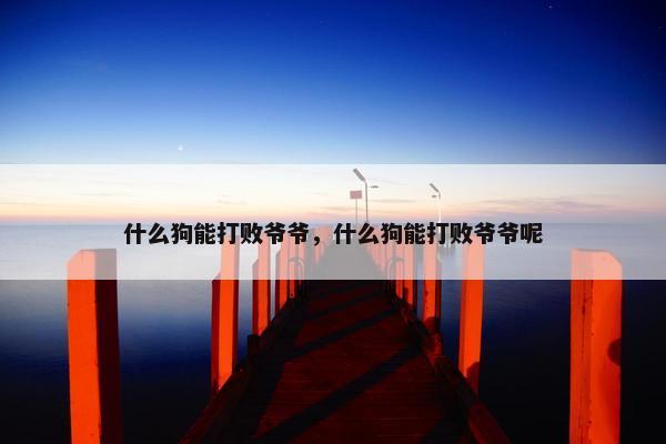 什么狗能打败爷爷，什么狗能打败爷爷呢