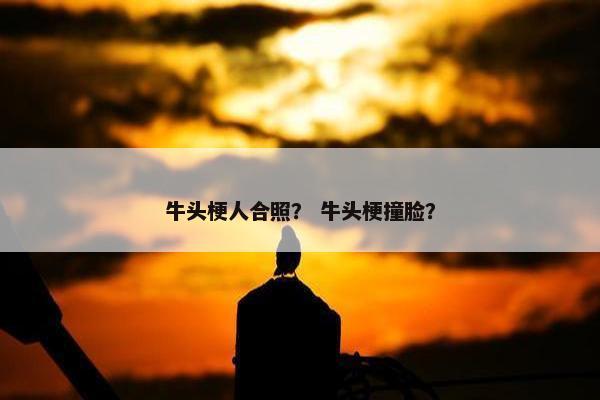 牛头梗人合照？ 牛头梗撞脸？