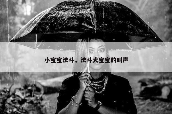 小宝宝法斗，法斗犬宝宝的叫声