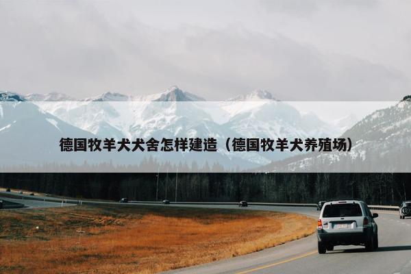 德国牧羊犬犬舍怎样建造（德国牧羊犬养殖场）