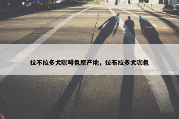 拉不拉多犬咖啡色原产地，拉布拉多犬咖色