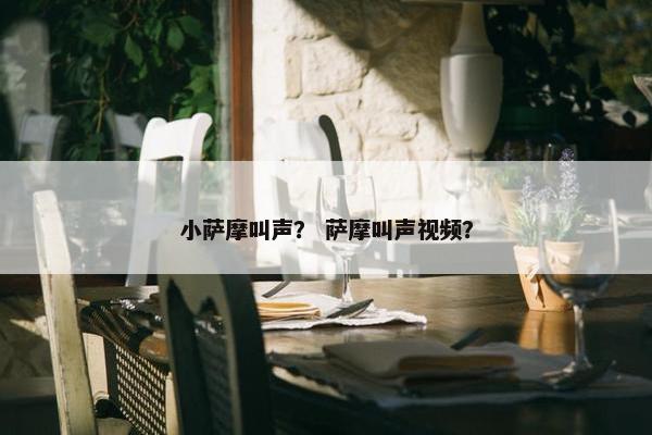 小萨摩叫声？ 萨摩叫声视频？