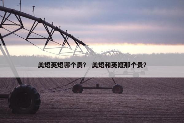 美短英短哪个贵？ 美短和英短那个贵？