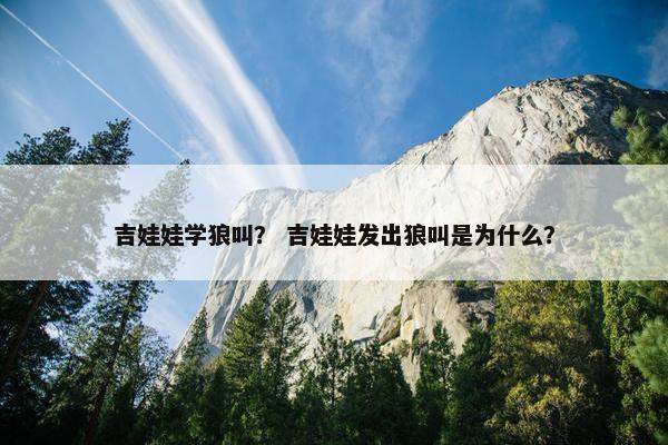 吉娃娃学狼叫？ 吉娃娃发出狼叫是为什么？