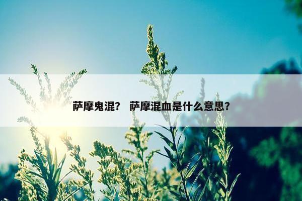 萨摩鬼混？ 萨摩混血是什么意思？