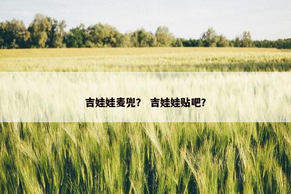 吉娃娃麦兜？ 吉娃娃贴吧？