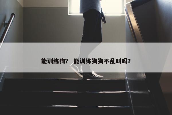 能训练狗？ 能训练狗狗不乱叫吗？