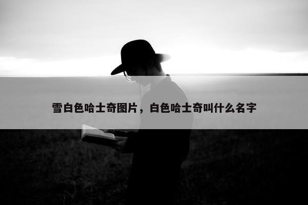 雪白色哈士奇图片，白色哈士奇叫什么名字