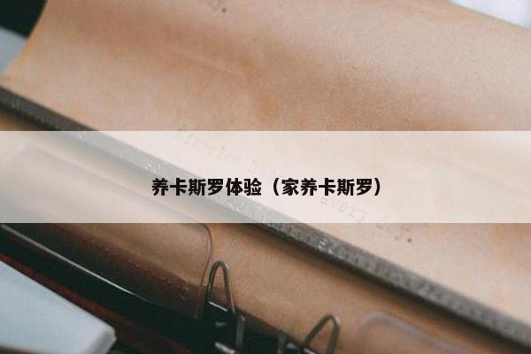 养卡斯罗体验（家养卡斯罗）