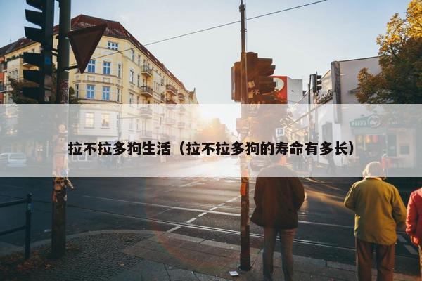 拉不拉多狗生活（拉不拉多狗的寿命有多长）