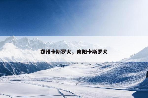 郑州卡斯罗犬，南阳卡斯罗犬