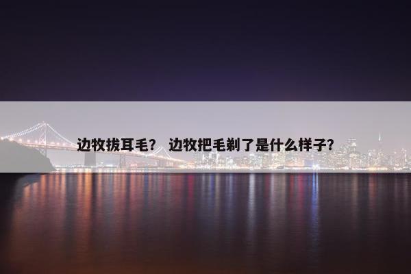 边牧拔耳毛？ 边牧把毛剃了是什么样子？