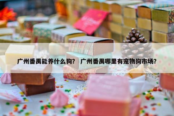 广州番禺能养什么狗？ 广州番禺哪里有宠物狗市场？