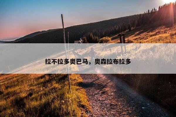 拉不拉多奥巴马，奥森拉布拉多