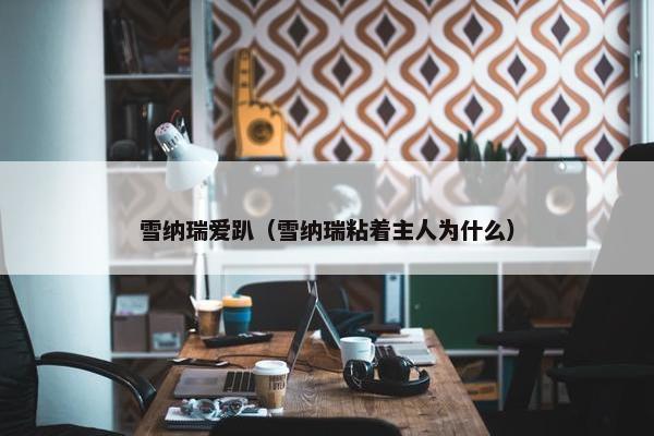 雪纳瑞爱趴（雪纳瑞粘着主人为什么）