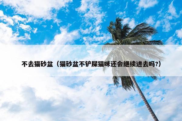 不去猫砂盆（猫砂盆不铲屎猫咪还会继续进去吗?）