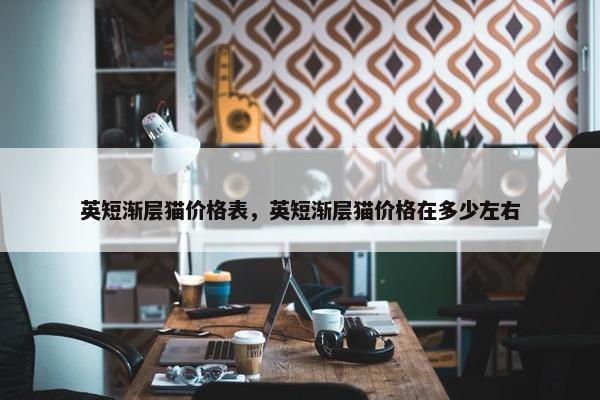 英短渐层猫价格表，英短渐层猫价格在多少左右