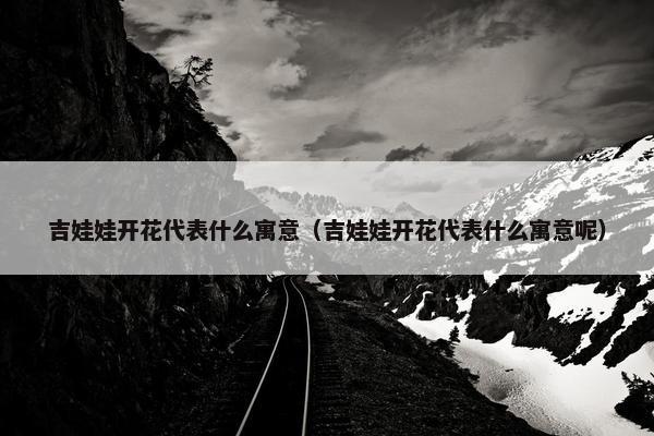吉娃娃开花代表什么寓意（吉娃娃开花代表什么寓意呢）