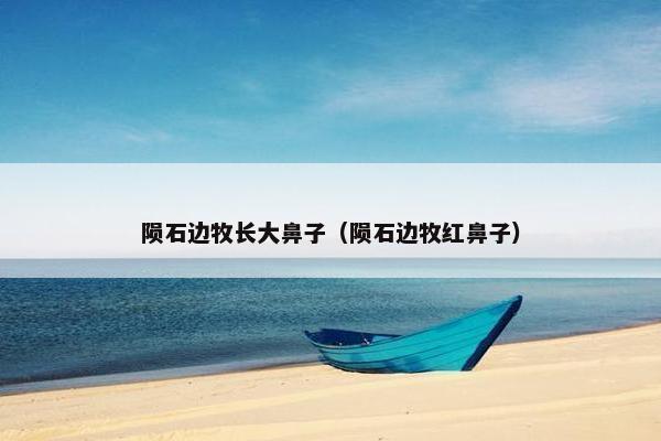 陨石边牧长大鼻子（陨石边牧红鼻子）
