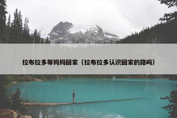 拉布拉多等妈妈回家（拉布拉多认识回家的路吗）