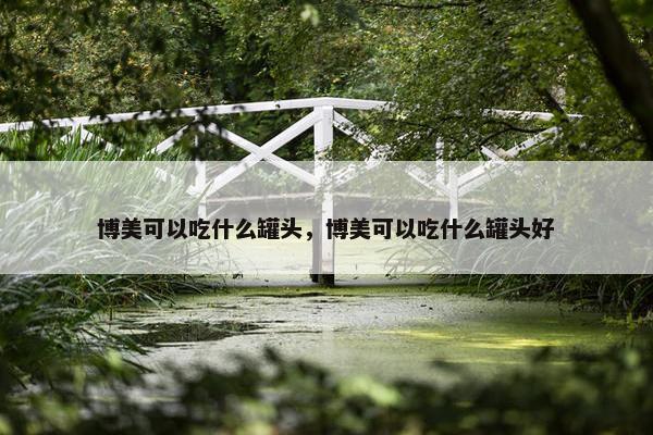博美可以吃什么罐头，博美可以吃什么罐头好