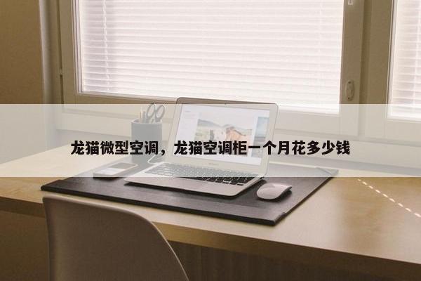 龙猫微型空调，龙猫空调柜一个月花多少钱
