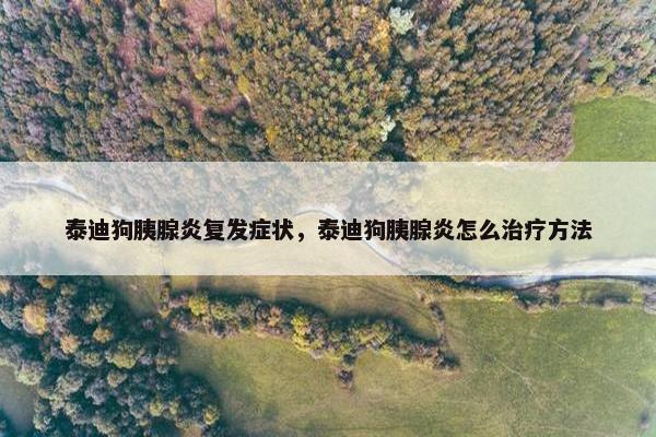 泰迪狗胰腺炎复发症状，泰迪狗胰腺炎怎么治疗方法
