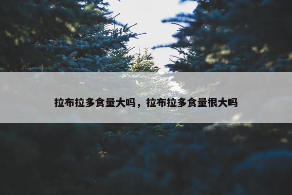 拉布拉多食量大吗，拉布拉多食量很大吗