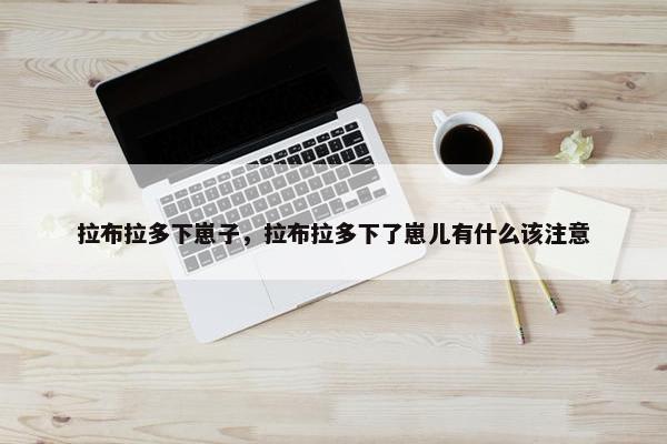 拉布拉多下崽子，拉布拉多下了崽儿有什么该注意