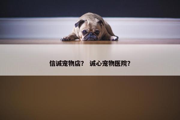 信诚宠物店？ 诚心宠物医院？