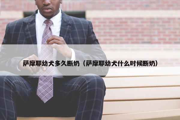 萨摩耶幼犬多久断奶（萨摩耶幼犬什么时候断奶）