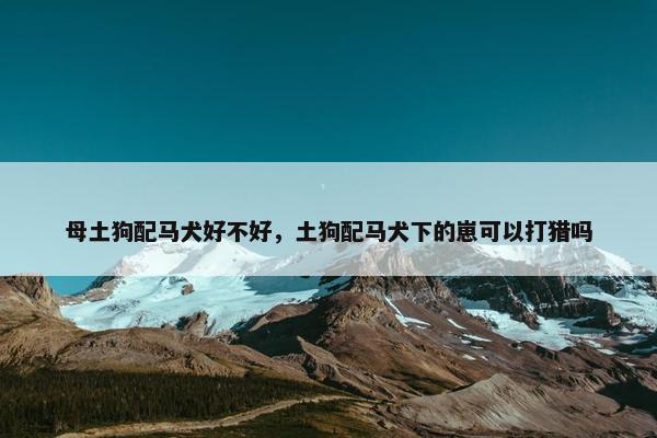母土狗配马犬好不好，土狗配马犬下的崽可以打猎吗