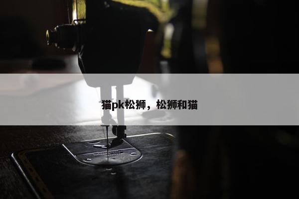猫pk松狮，松狮和猫