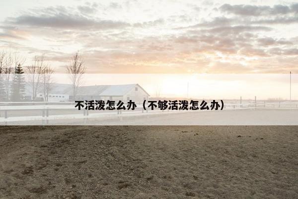 不活泼怎么办（不够活泼怎么办）