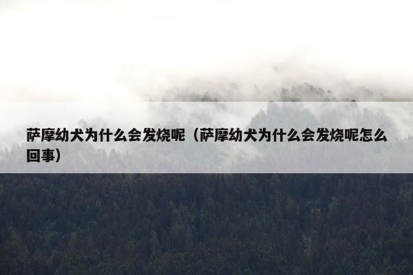萨摩幼犬为什么会发烧呢（萨摩幼犬为什么会发烧呢怎么回事）