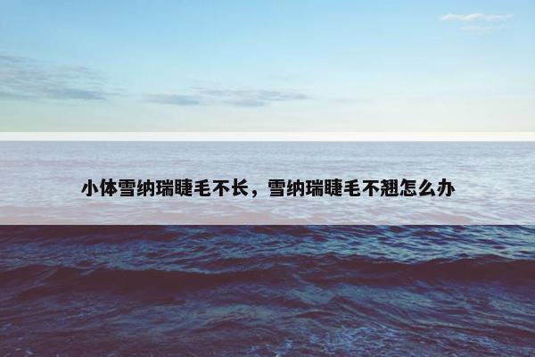 小体雪纳瑞睫毛不长，雪纳瑞睫毛不翘怎么办