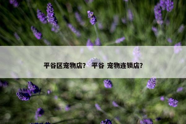 平谷区宠物店？ 平谷 宠物连锁店？