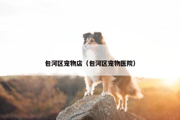 包河区宠物店（包河区宠物医院）