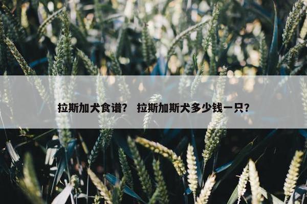 拉斯加犬食谱？ 拉斯加斯犬多少钱一只？