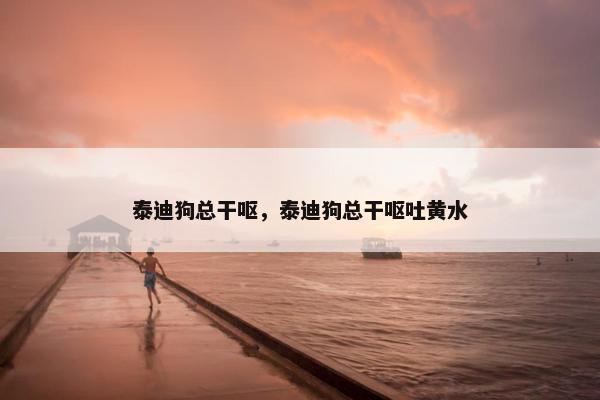 泰迪狗总干呕，泰迪狗总干呕吐黄水