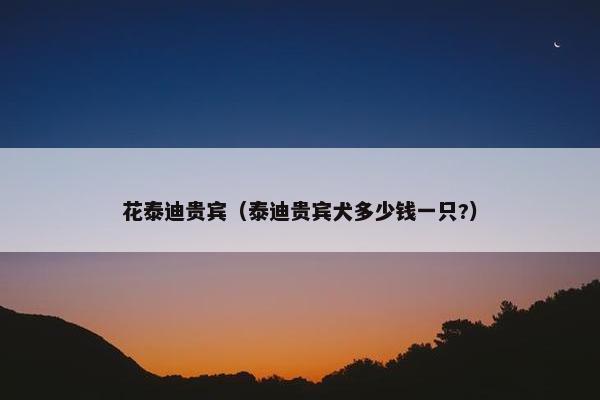 花泰迪贵宾（泰迪贵宾犬多少钱一只?）