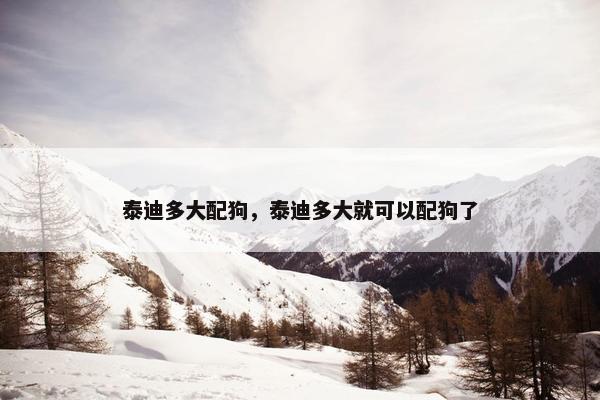 泰迪多大配狗，泰迪多大就可以配狗了
