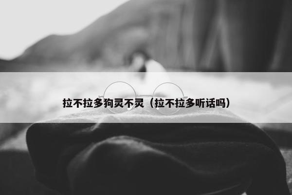拉不拉多狗灵不灵（拉不拉多听话吗）