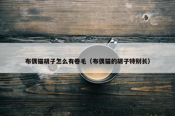 布偶猫胡子怎么有卷毛（布偶猫的胡子特别长）